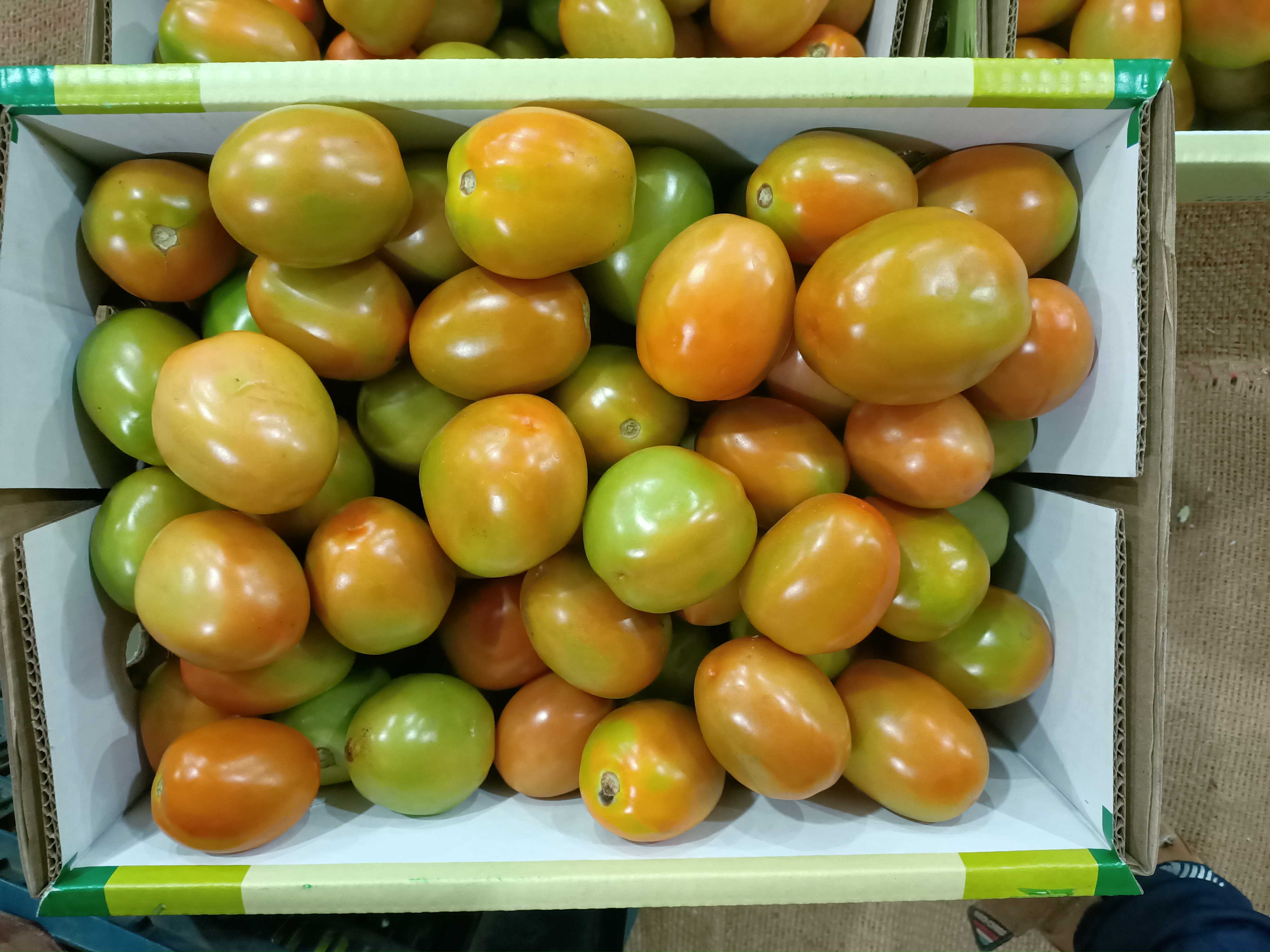IMG20191206011123