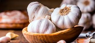garlic