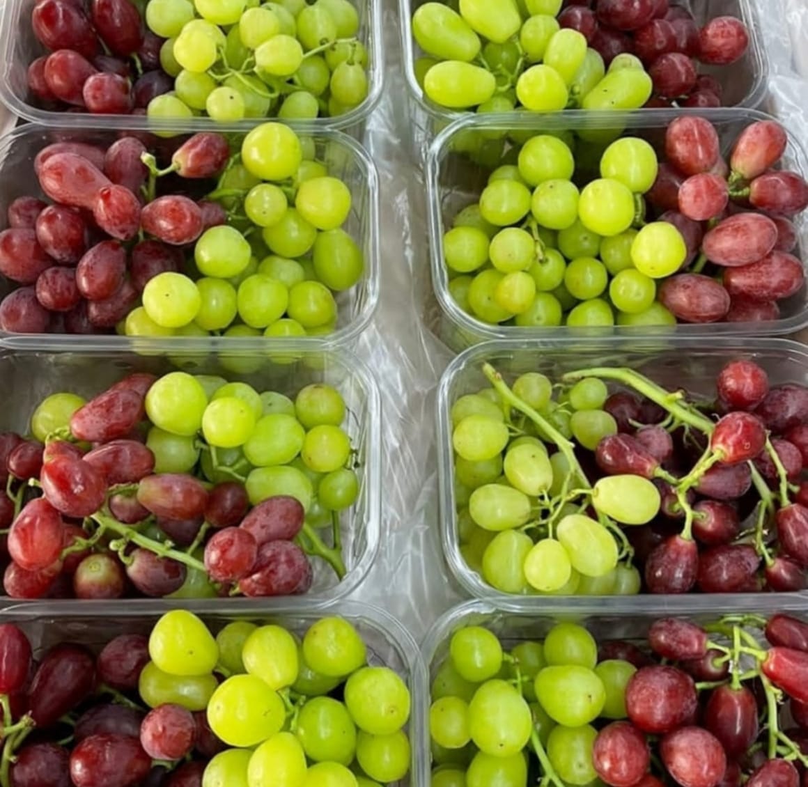 Fresh Sharad Black Seedless Grapes
