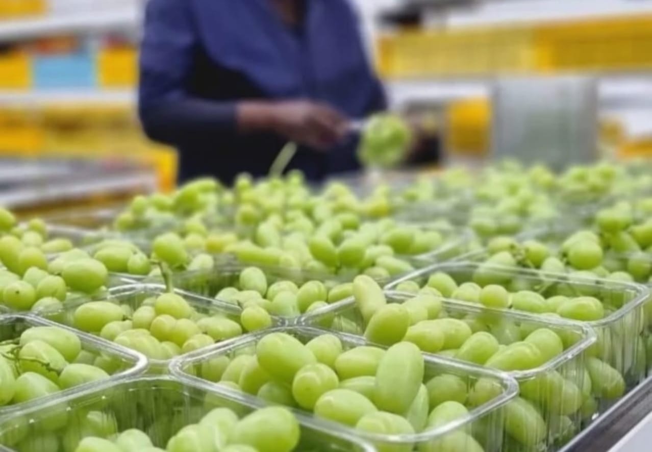 grapes5
