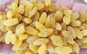 yellow_raisin